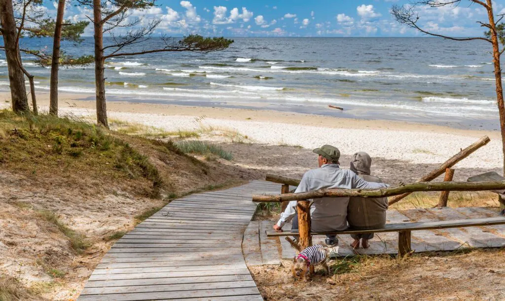Happy couple of seniors are resting in pine forest and looking at a distance near a sandy beach of the Baltic Sea. Photo depicts ecological tourism in Baltic region. No AI tools were used